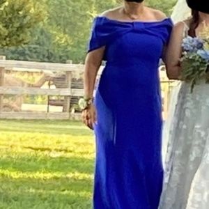 ALEXANDER BY DAYMOR DRESS in Blue